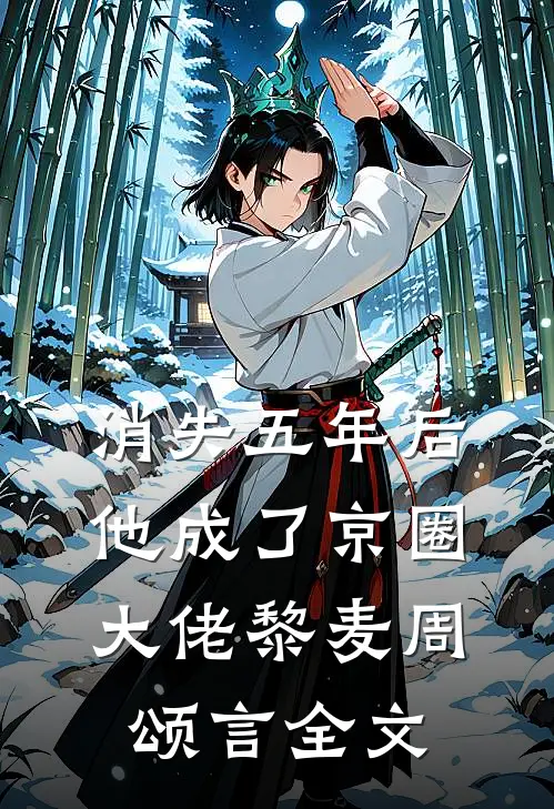消失五年后，他成了京圈大佬黎麦周颂言全文