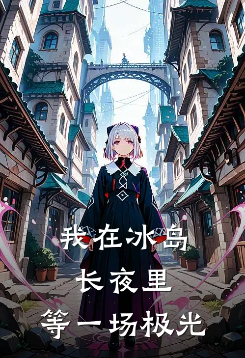我在冰岛长夜里,等一场极光