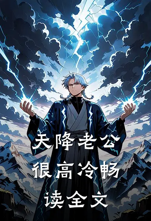 天降老公很高冷畅读全文