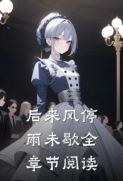 后来风停雨未歇全章节阅读