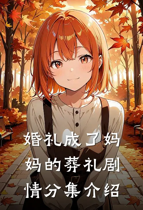 婚礼成了妈妈的葬礼剧情分集介绍