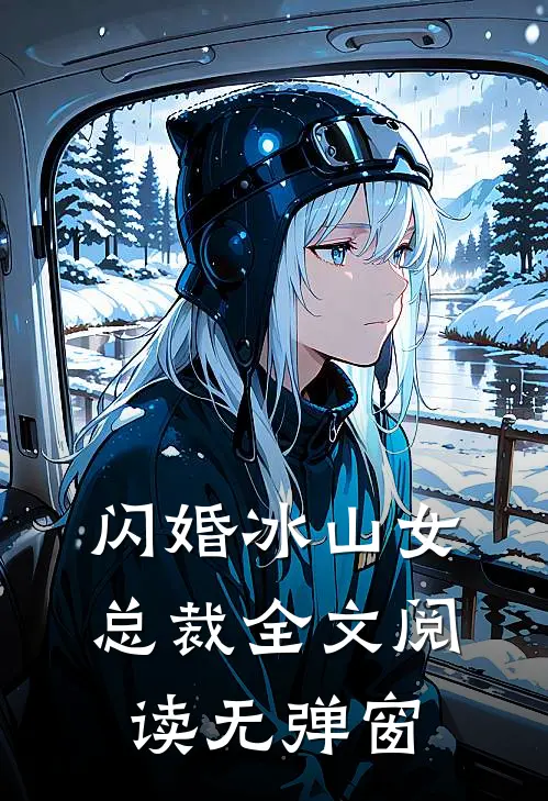 闪婚冰山女总裁全文阅读无弹窗