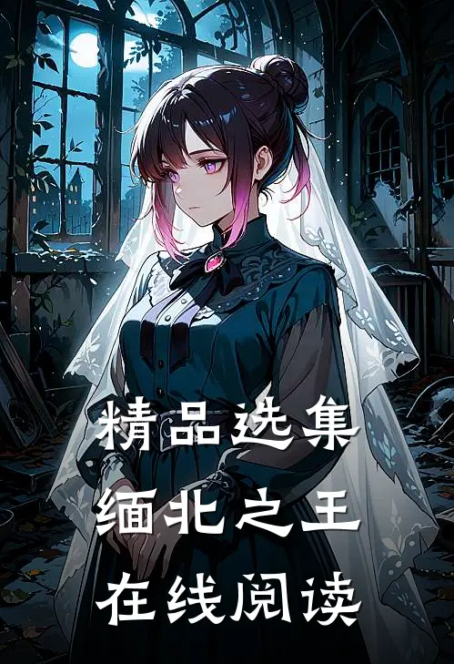 精品选集缅北之王在线阅读