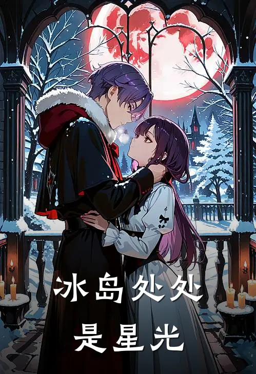 冰岛处处是星光