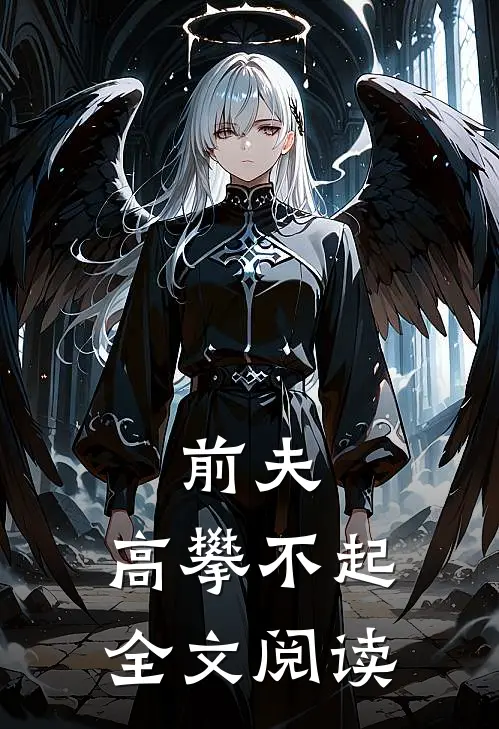 前夫,高攀不起全文阅读免费