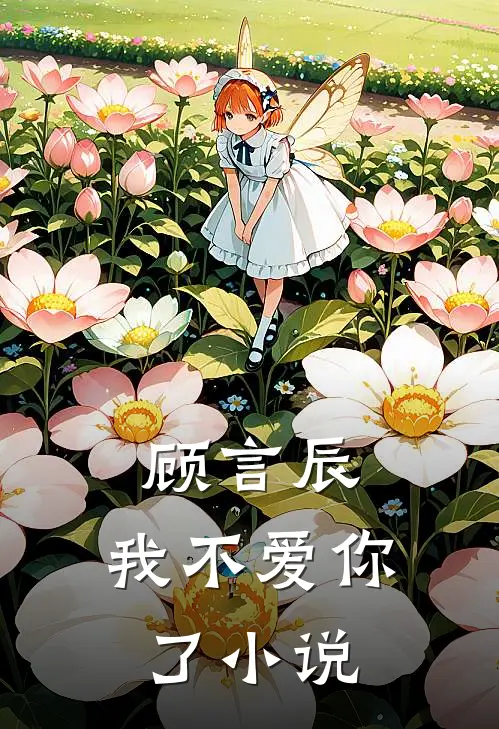 顾言辰，我不爱你了小说
