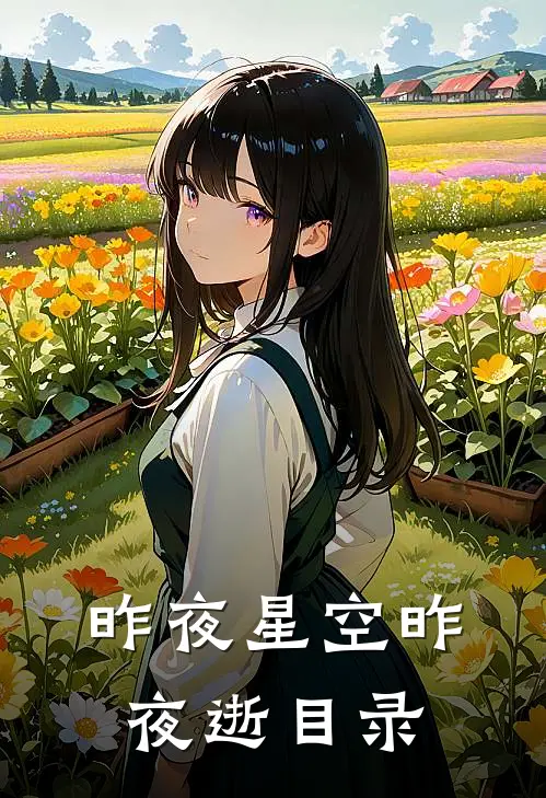 昨夜星空昨夜逝目录