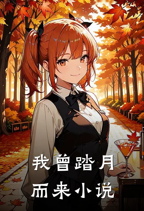 我曾踏月而来小说