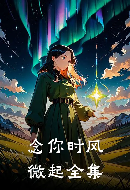 念你时风微起全集