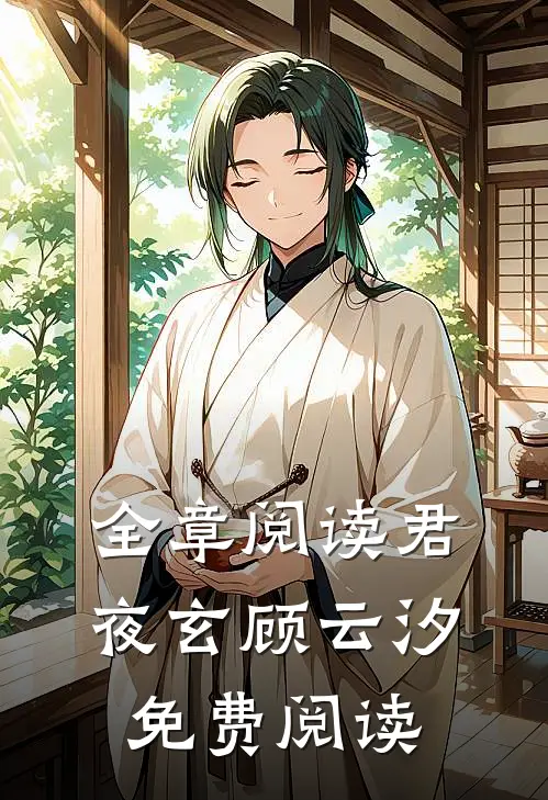 全章阅读君夜玄顾云汐免费阅读无弹窗