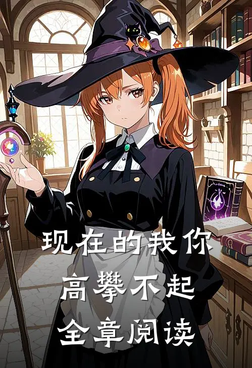 现在的我你高攀不起全章阅读