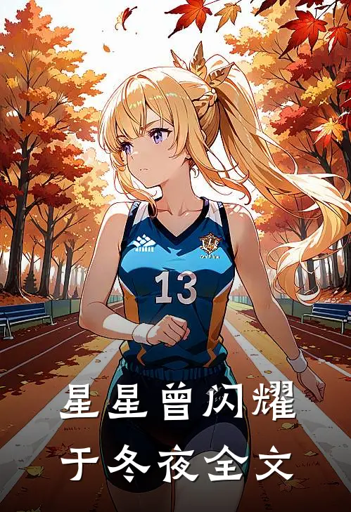 星星曾闪耀于冬夜全文