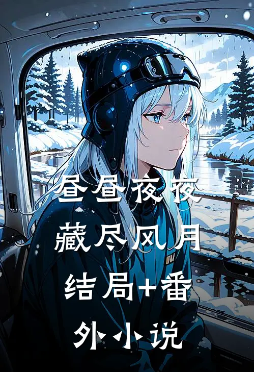 昼昼夜夜，藏尽风月结局+番外小说
