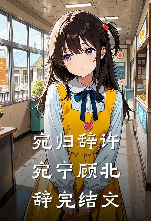 宛归辞许宛宁顾北辞完结文