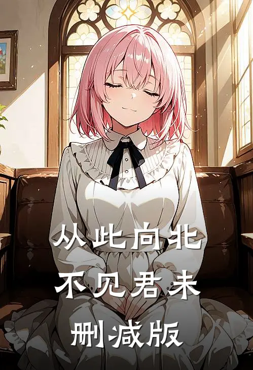 从此向北不见君未删减版