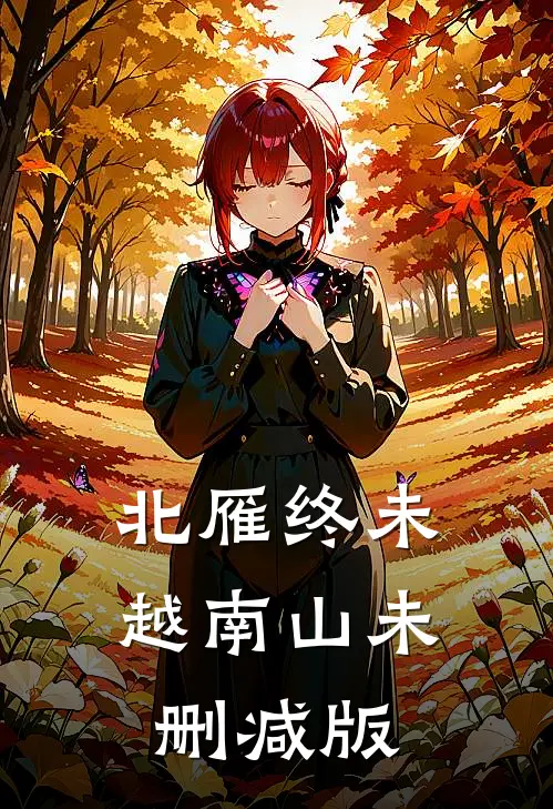 北雁终未越南山未删减版