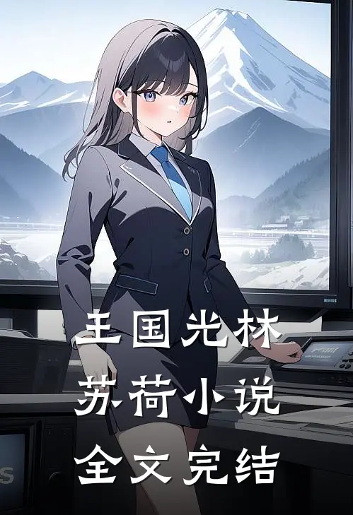 王国光林苏荷 小说全文完结